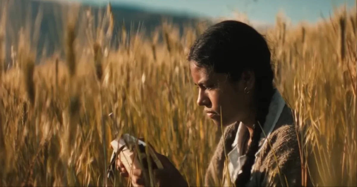 MixCollage-11-Sep-2026-03-45-PM-8504
