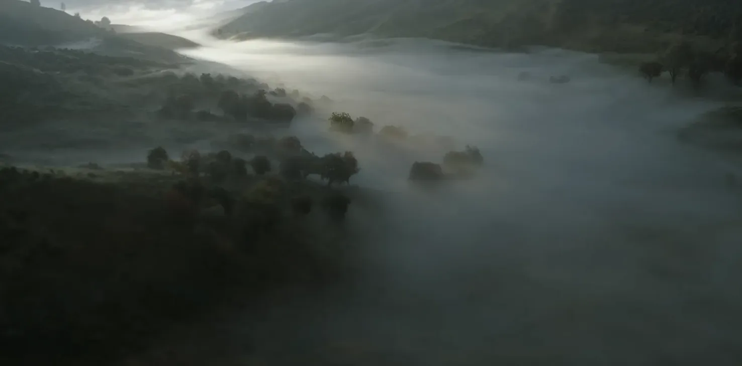 Digger Filming Locations