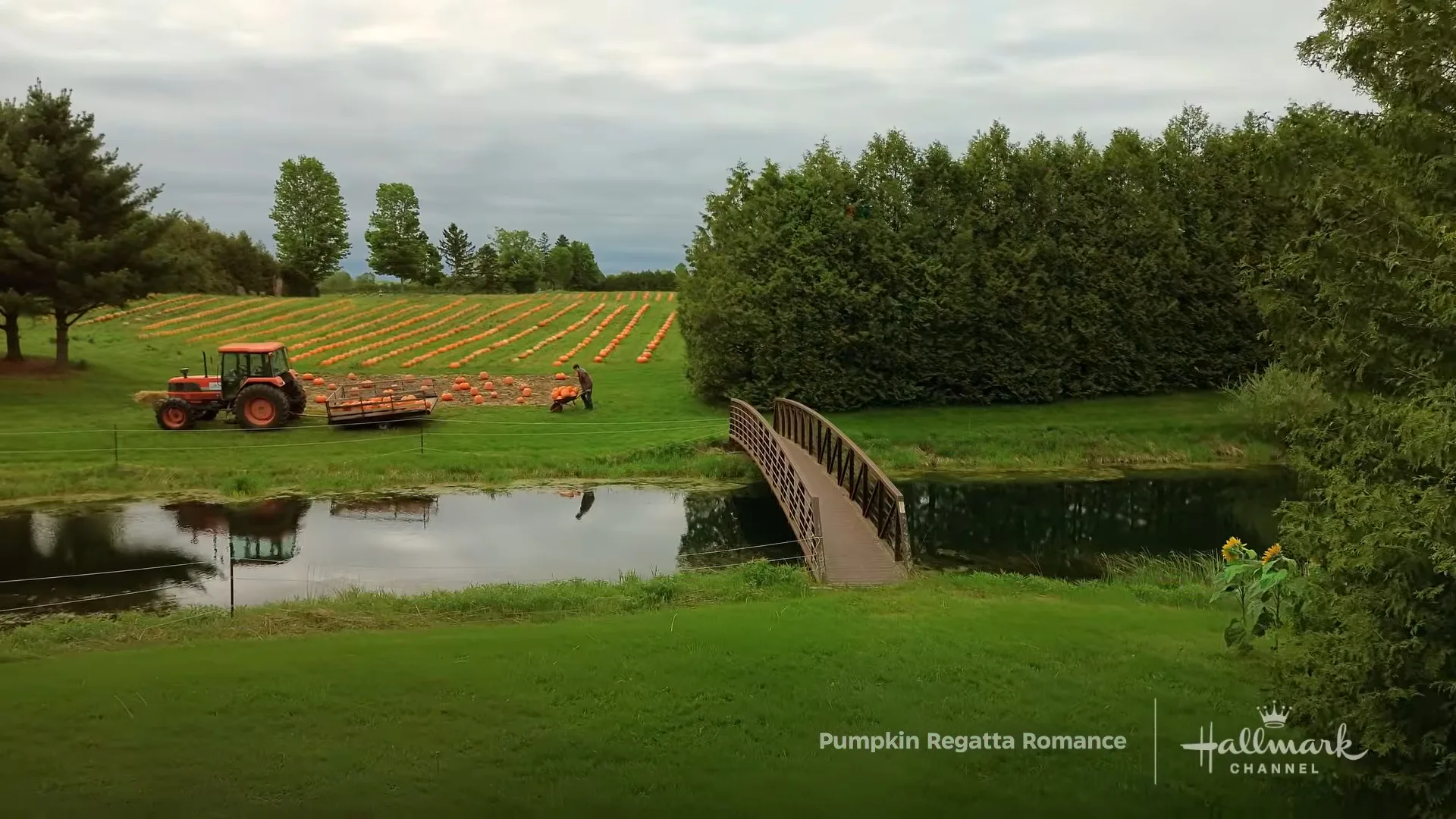 Pumpkin Regatta Romance Filming Locations