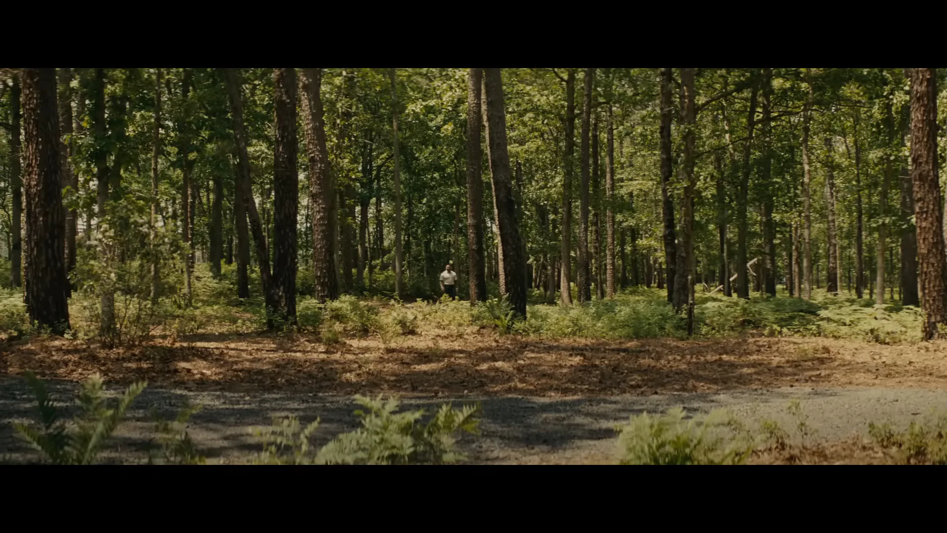 Knock at the Cabin Filming Locations: Where Is the Cabin?
