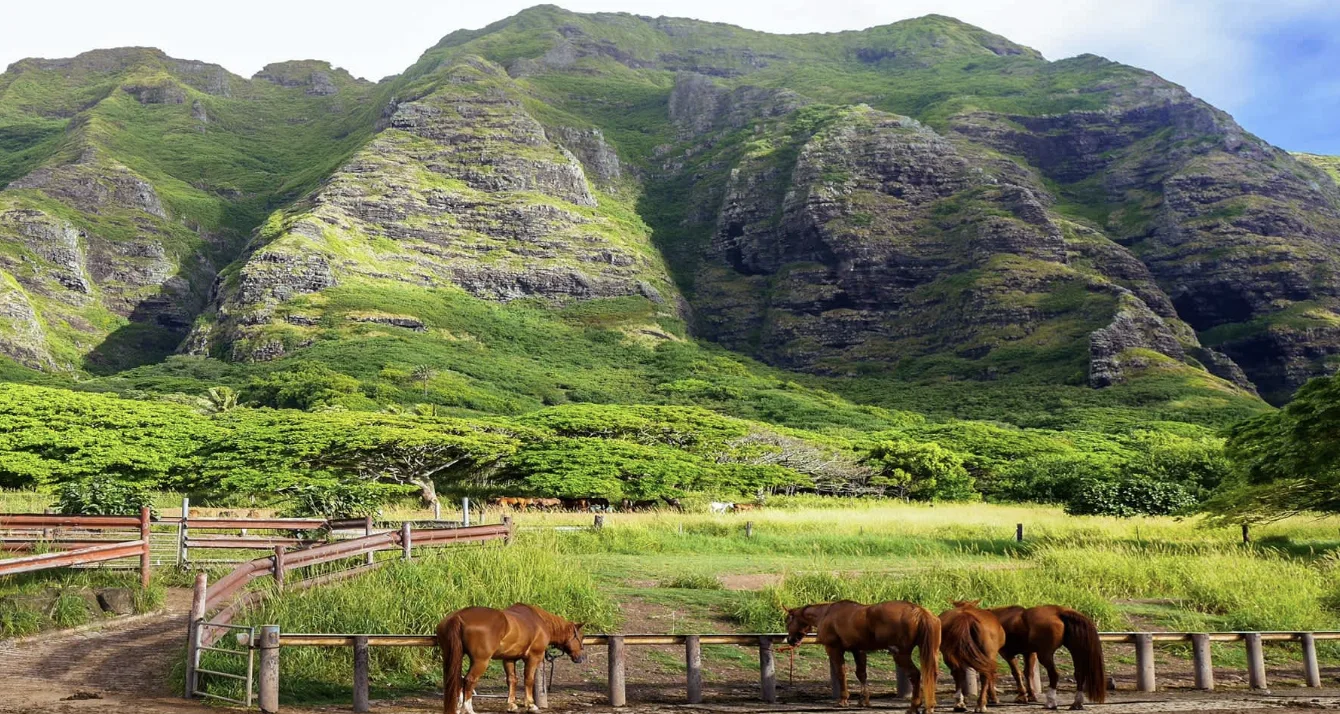 2 Hearts Filming Locations