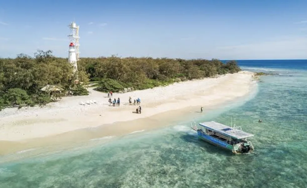 Where Was The Shallows Filmed?