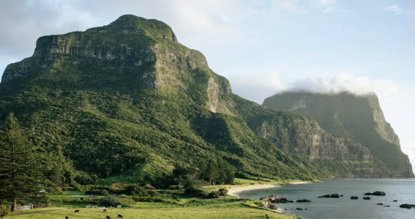 Where Was The Shallows Filmed?