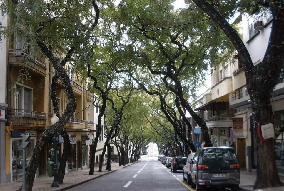 Facing El Chapo Filming Locations