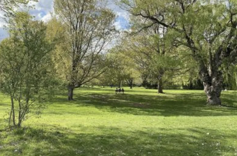 Nothing But Love (Much About Love) Filming Locations
