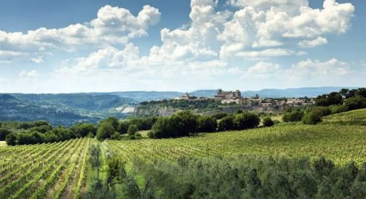 Hallmark’s Toast to Italy Filming Locations and Cast Details