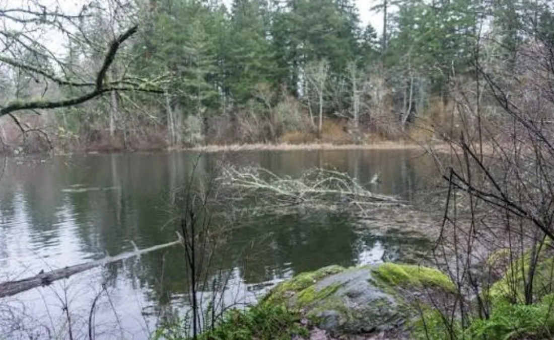 Crew Girl Filming Locations